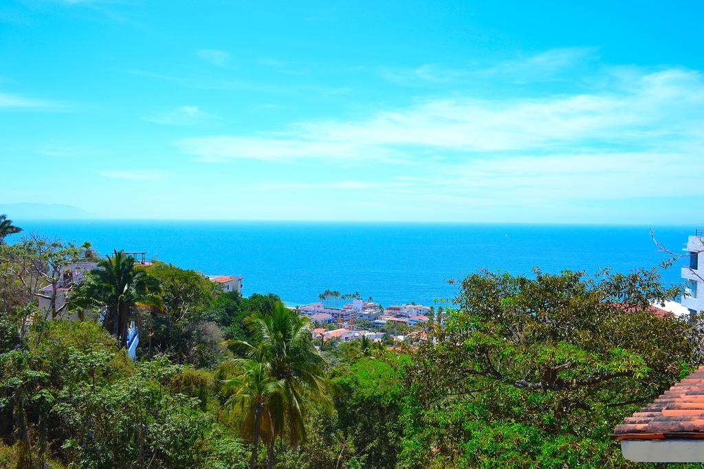 Apartment Selva Alta *
