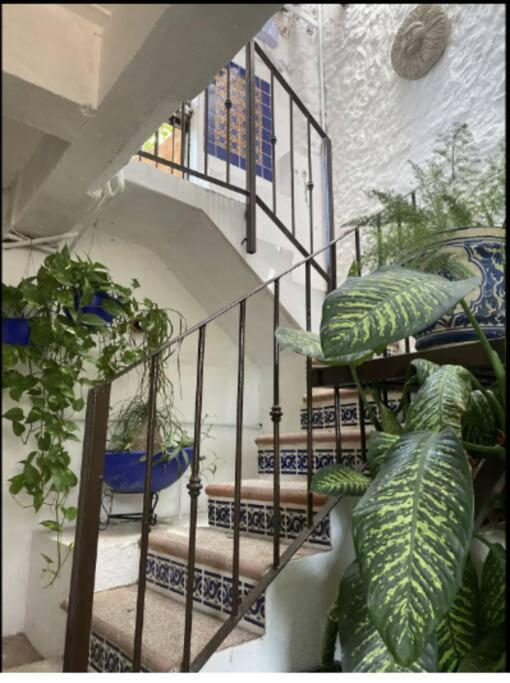 Apartment Jardin Secret - Charming Garden *
