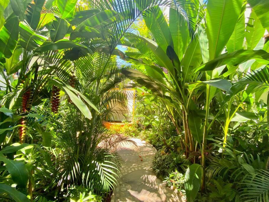 Romantique - Tropical Garden