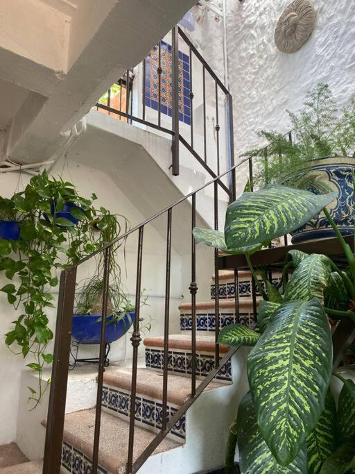 Romantique - Tropical Garden Apartment *