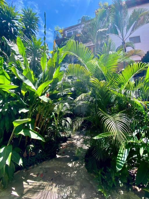 Apartment Romantique - Tropical Garden Puerto Vallarta