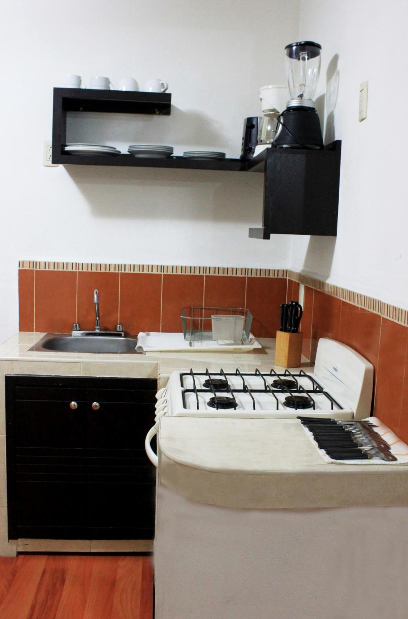 La Iguana Vallarta Lgbt Adults Only - Romantic Zone - Party Clubbing Street Hotel 3*