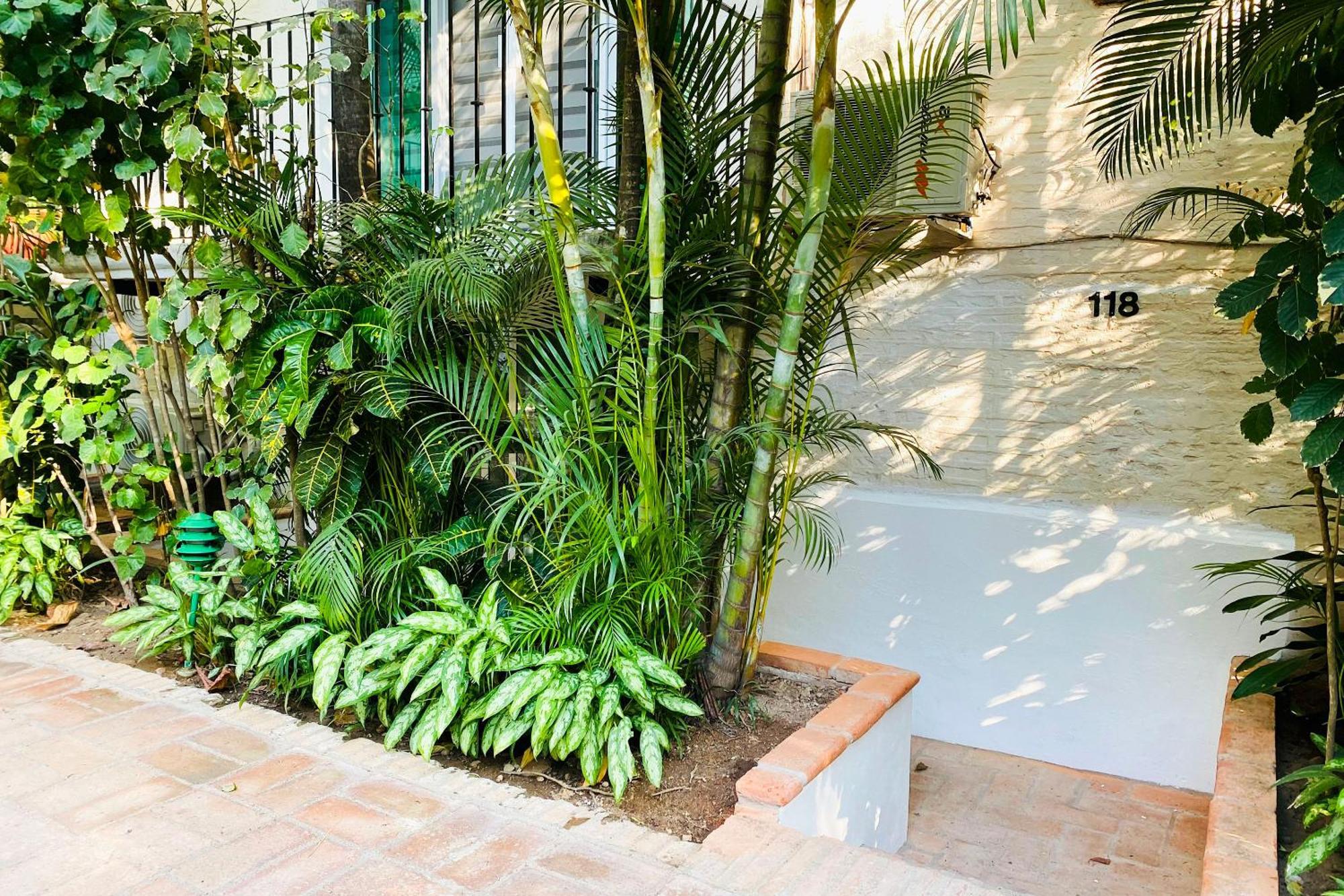Apartment Cozy Tropical Oasis Close To Beach And Shops Puerto Vallarta