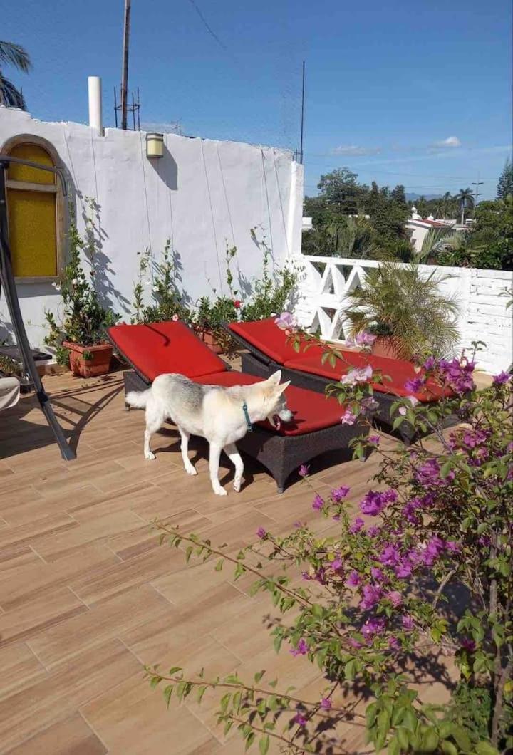 In A Boho House Guest house