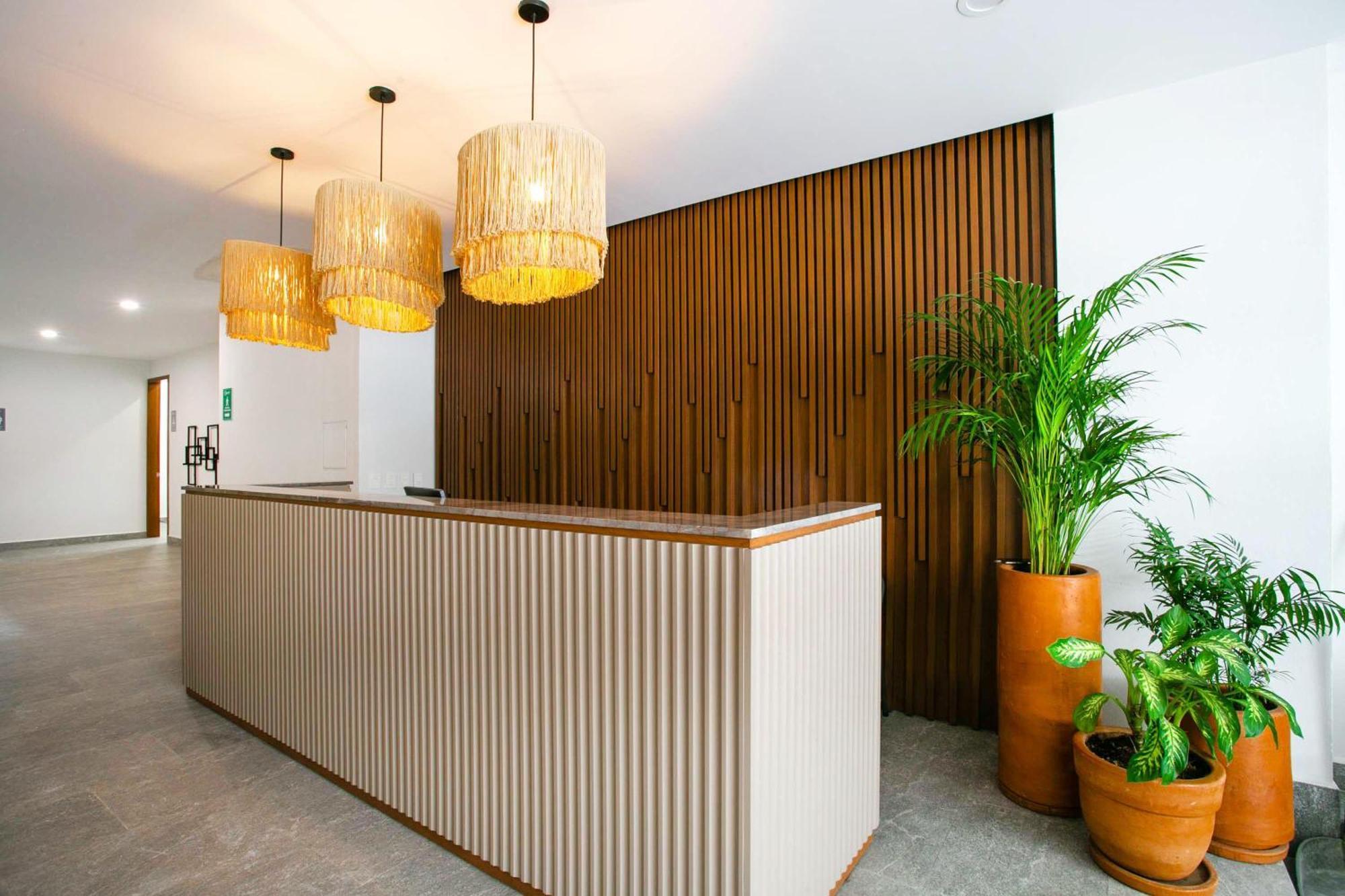 New 1br In Downtown Near The Puerto Vallarta