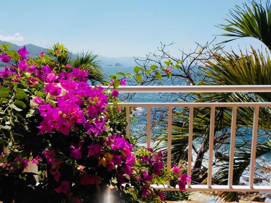 Apartment Casa Celestial - Beachfront Ocean View - Snorkelling Onsite! *