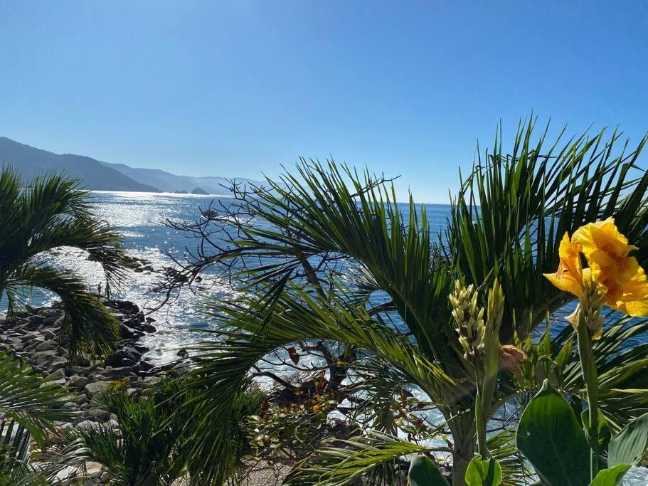 Apartment Casa Celestial - Beachfront Ocean View - Snorkelling Onsite! *
