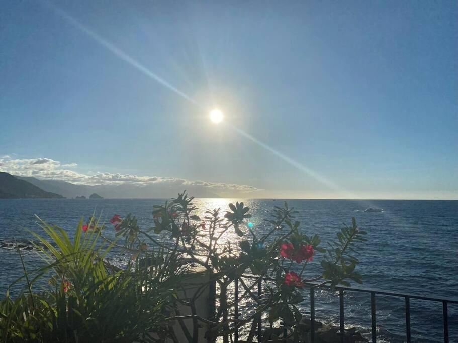 Casa Celestial - Beachfront Ocean View - Snorkelling Onsite! *