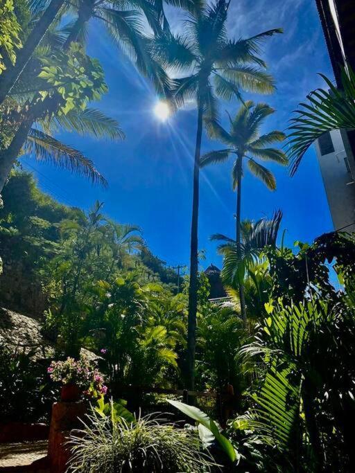 Casa Celestial - Beachfront Ocean View - Snorkelling Onsite! *
