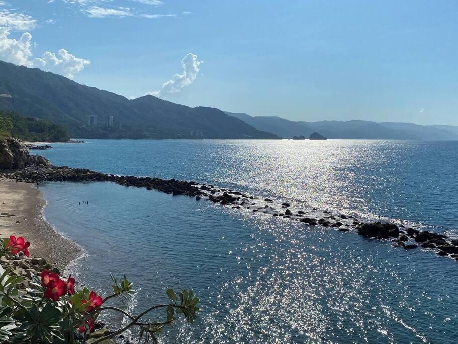 Apartment Casa Celestial - Beachfront Ocean View - Snorkelling Onsite!