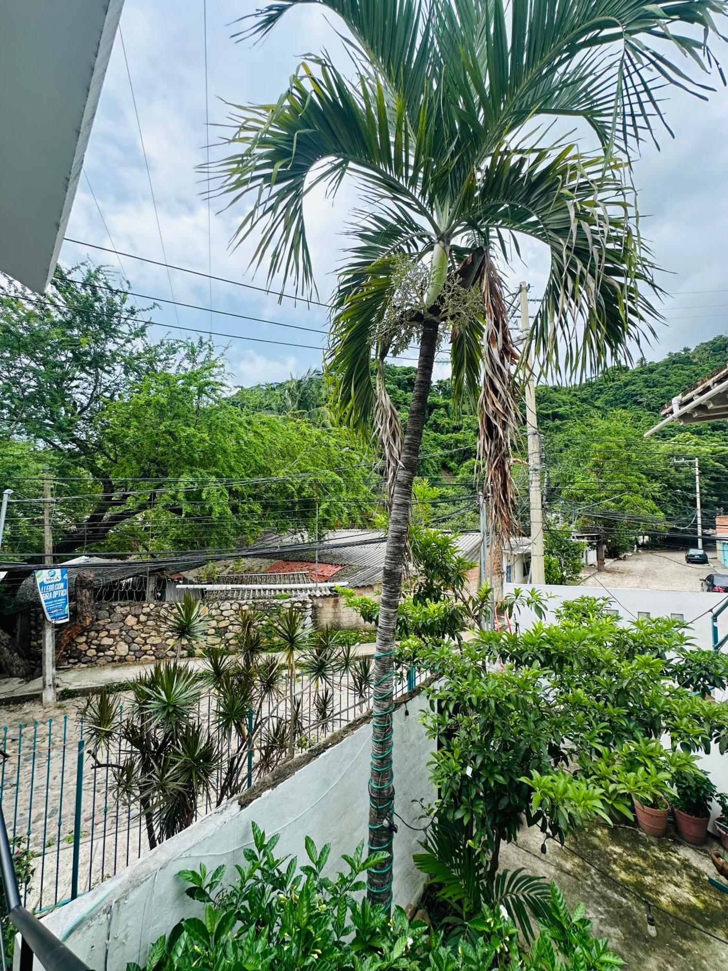Apartment Loft Rio