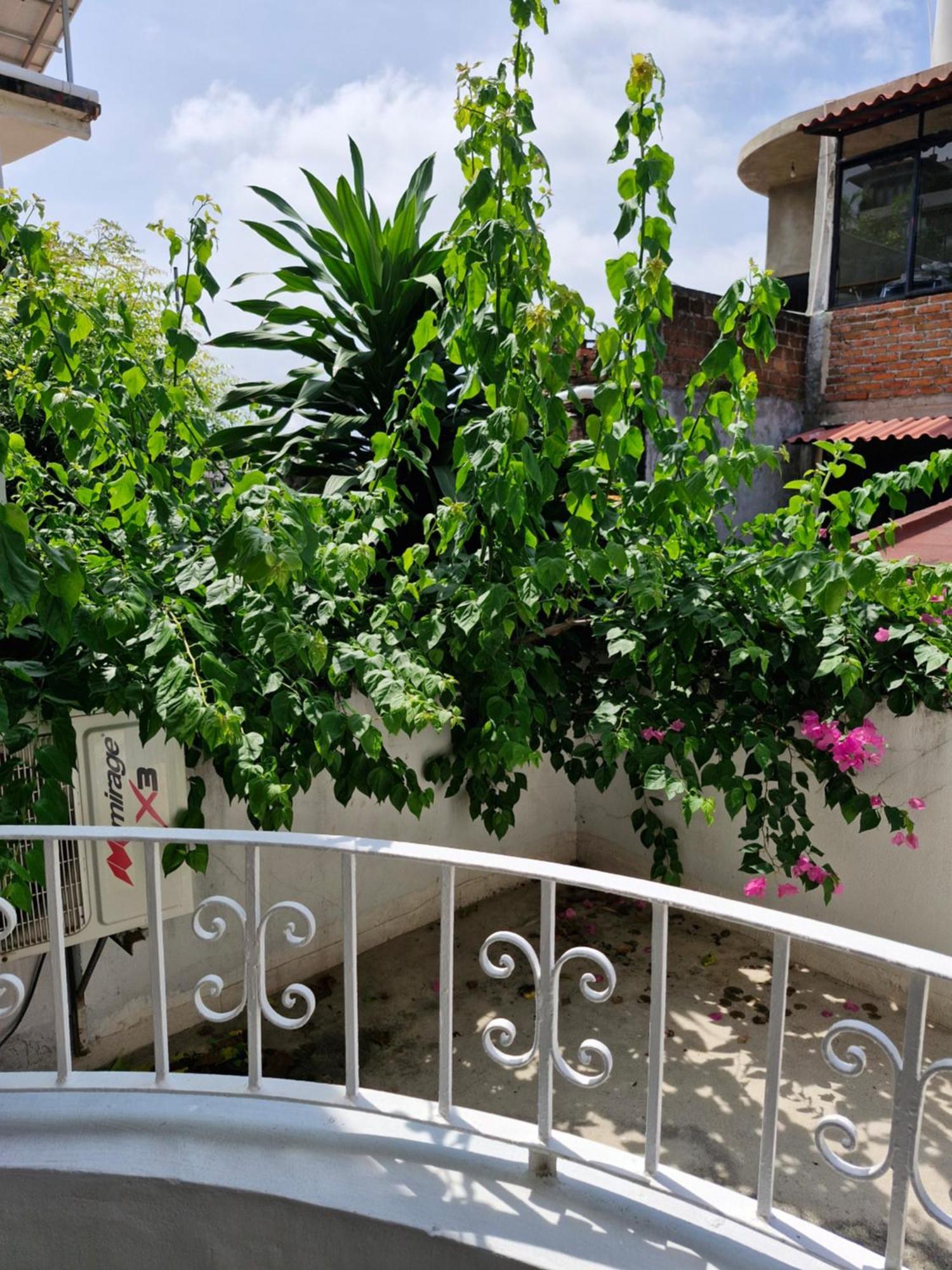 Casa Galeria *