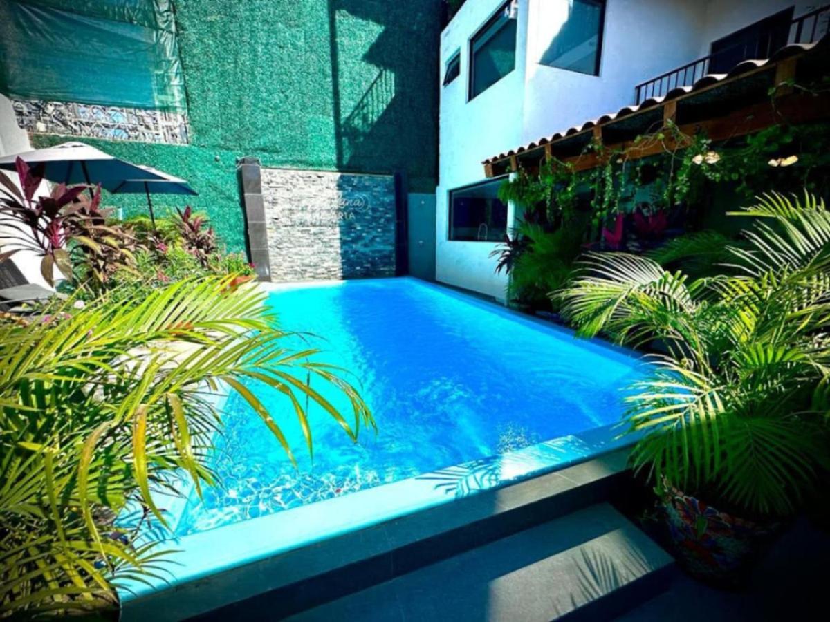 Entire In Puerto Vallarta