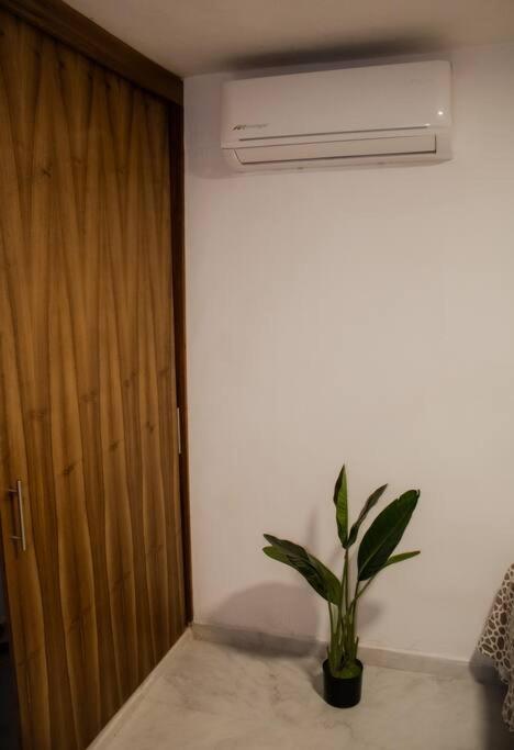 Modern Comfort In The Heart Of Puerto Vallarta! *