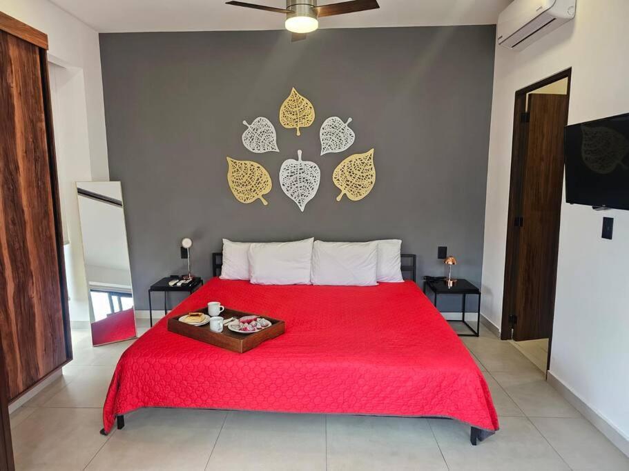 Comodo Zona Romantica Con Alberca 503