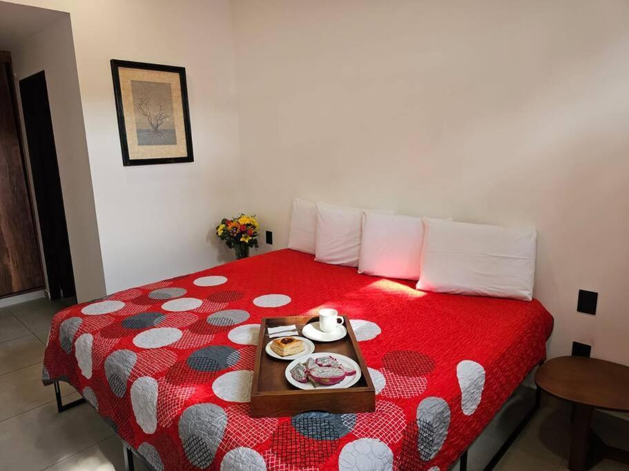 Apartment Centrico Estudio Con Roof Zona Romantica 202 *