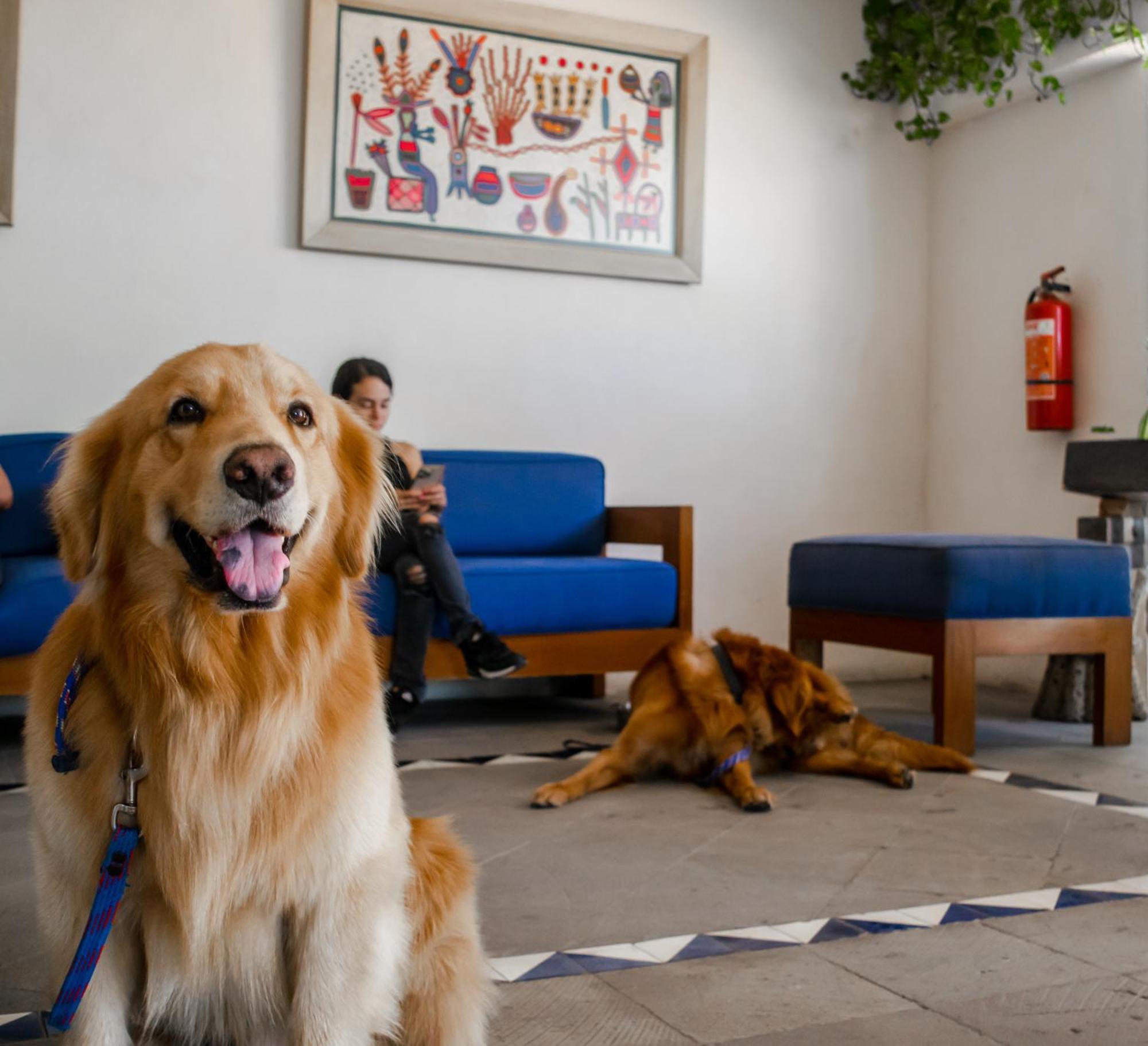 Hotel Puerto De Luna Pet Friendly&family