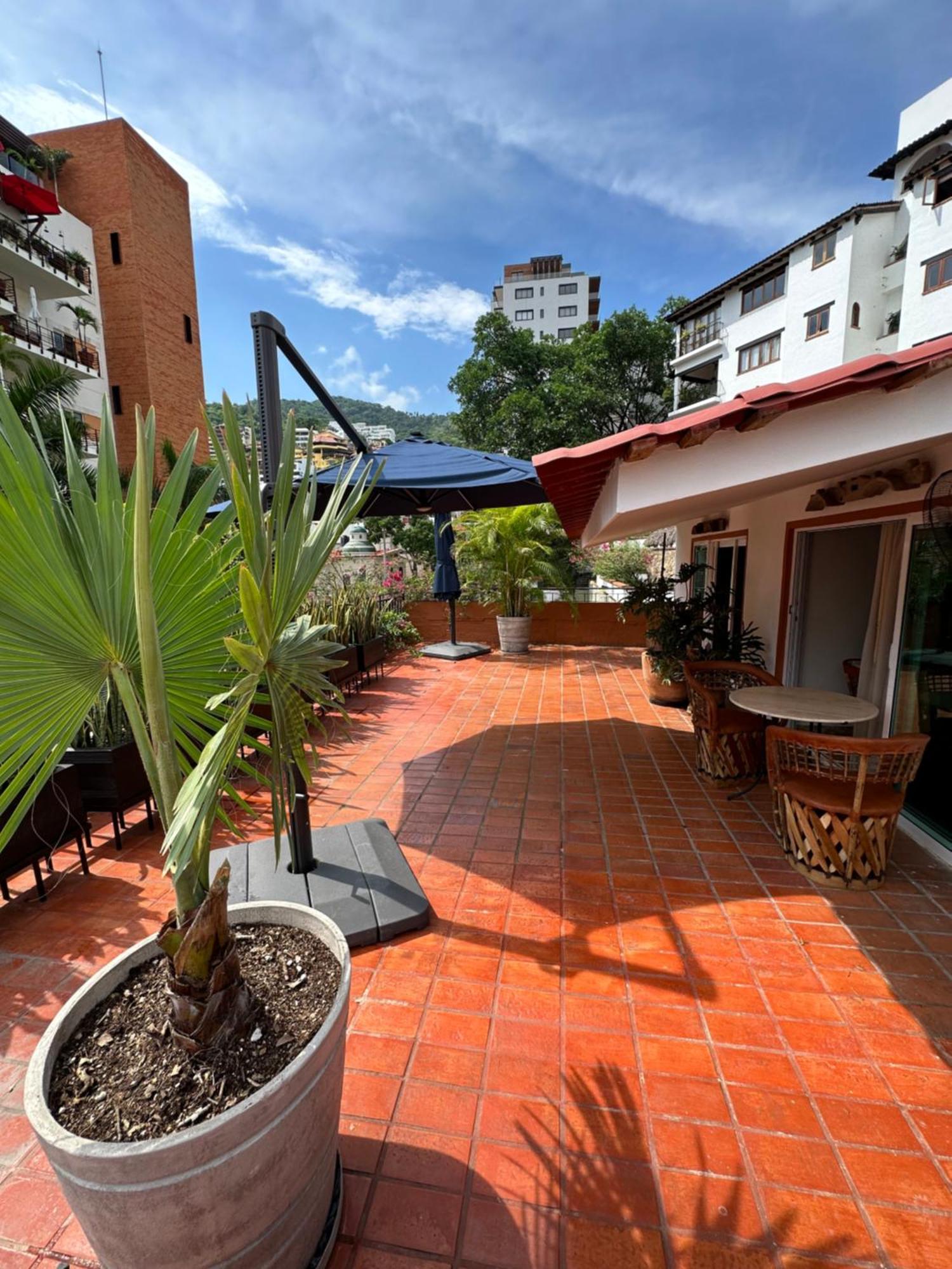 Departamento Con Terraza Privada