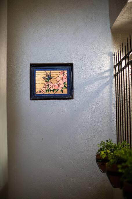Amapas Oasis With Panoramic Views, Walk To Apartment