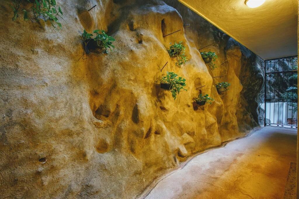Amapas Oasis With Panoramic Views, Walk To Apartment *