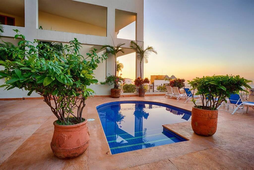 Apartment Amapas Oasis With Panoramic Views, Walk To *
