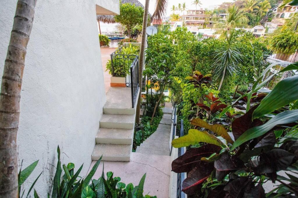 Amapas Oasis With Panoramic Views, Walk To Apartment *