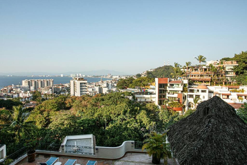 Apartment Amapas Oasis With Panoramic Views, Walk To *