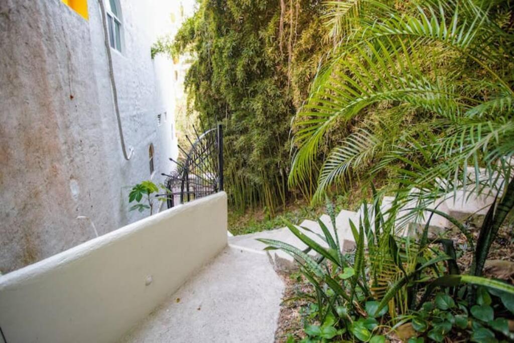 Apartment Amapas Oasis With Panoramic Views, Walk To *
