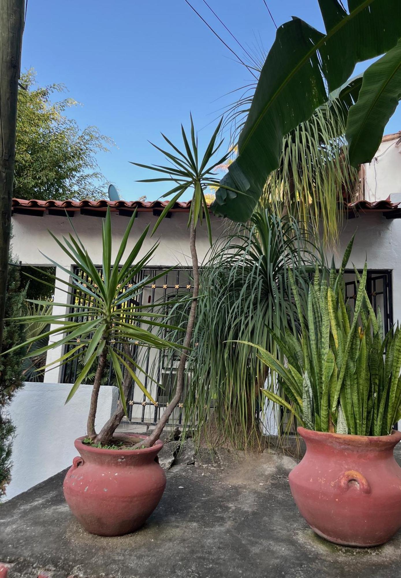 Palmier -quiet Cosy Air Conditioned Terrace Villa Puerto Vallarta