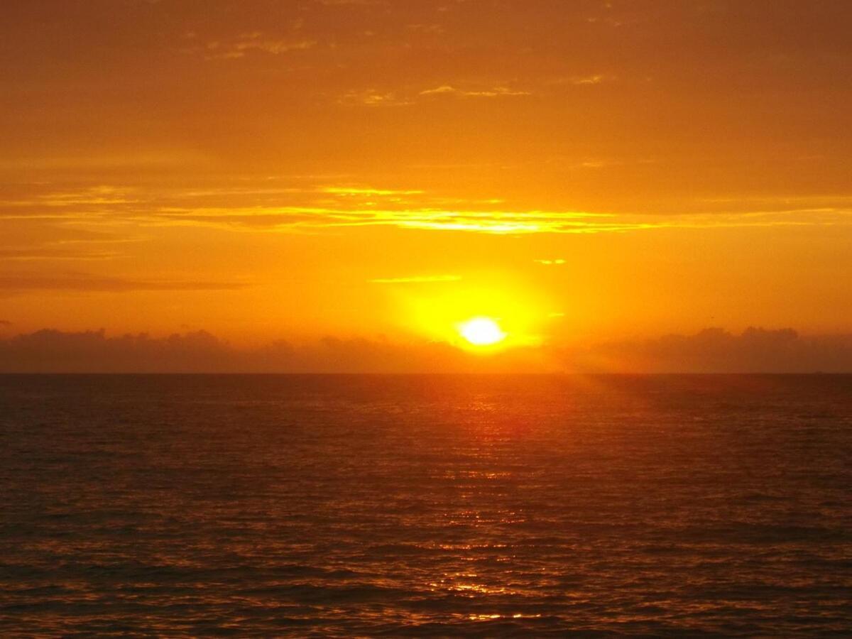 Apartment Loft Sur Puerto Vallarta