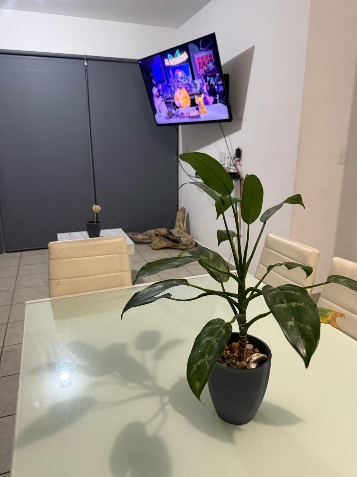 Departamento En Primer Piso Cerca Del Mar Apartamento