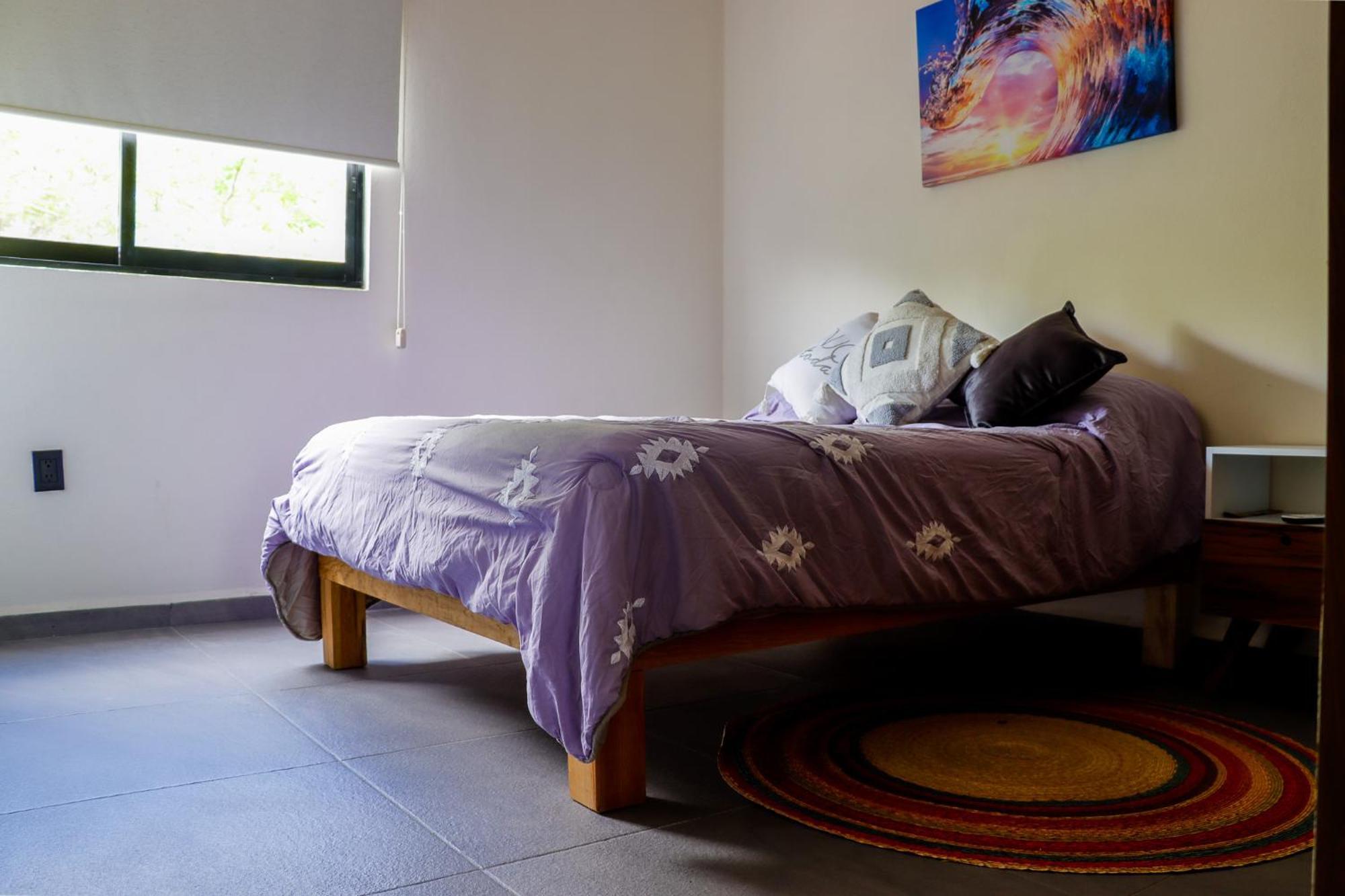 Temis Vallarta Apartment