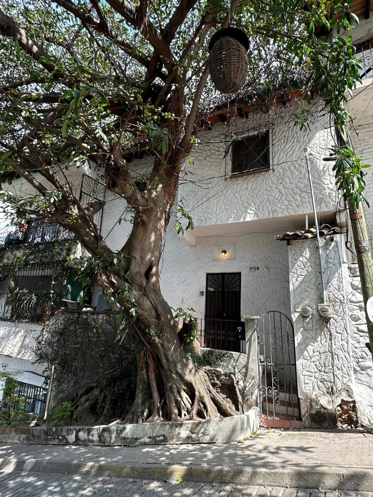 Apartment Newly Renovated B1 With Patio Sleeps 4
