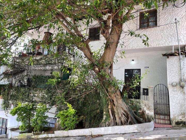 Apartment Newly Renovated B1 With Patio Sleeps 4 Puerto Vallarta