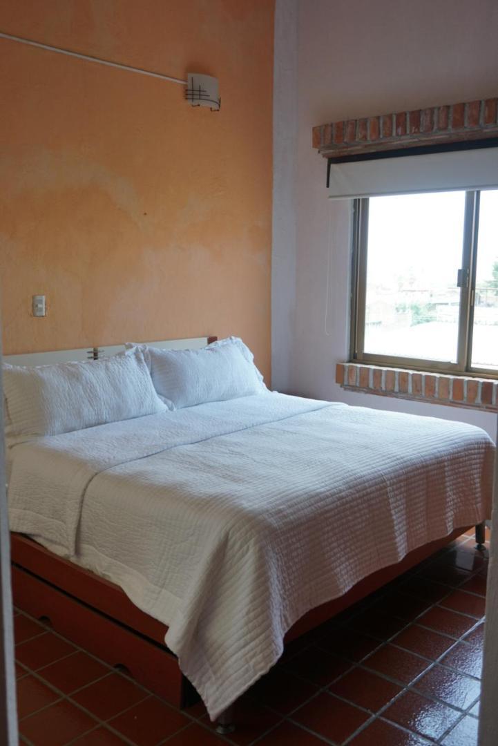 Apartment Beautiful Local With Ocean View & Rooftop Terrace