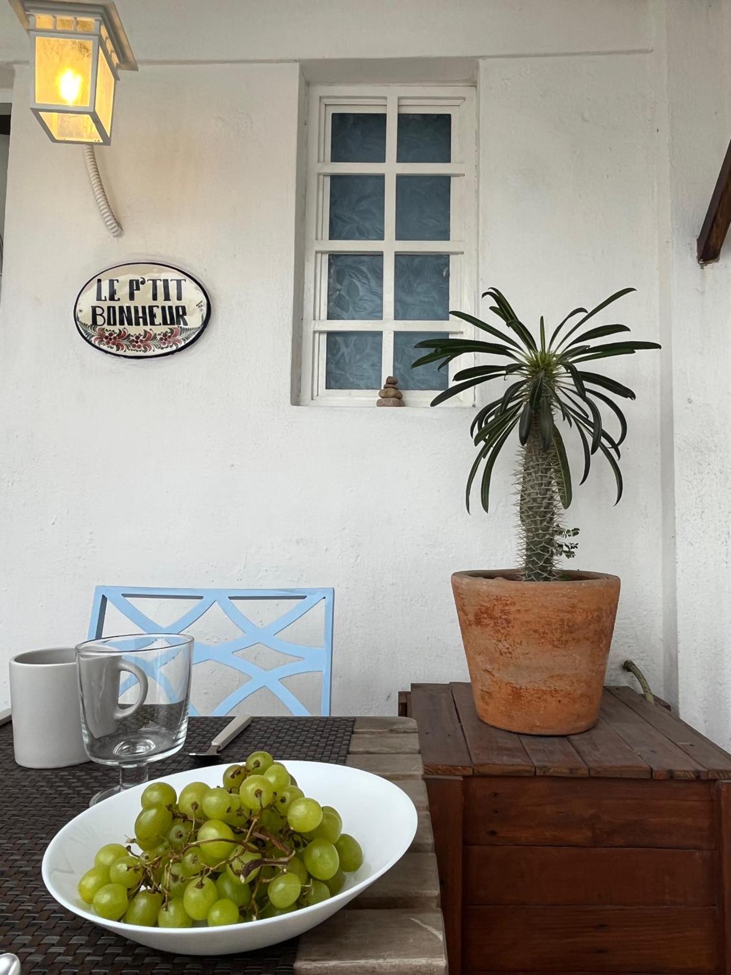 Le Petit Bonheur Terrace - Private Calm And View Apartamento Puerto Vallarta