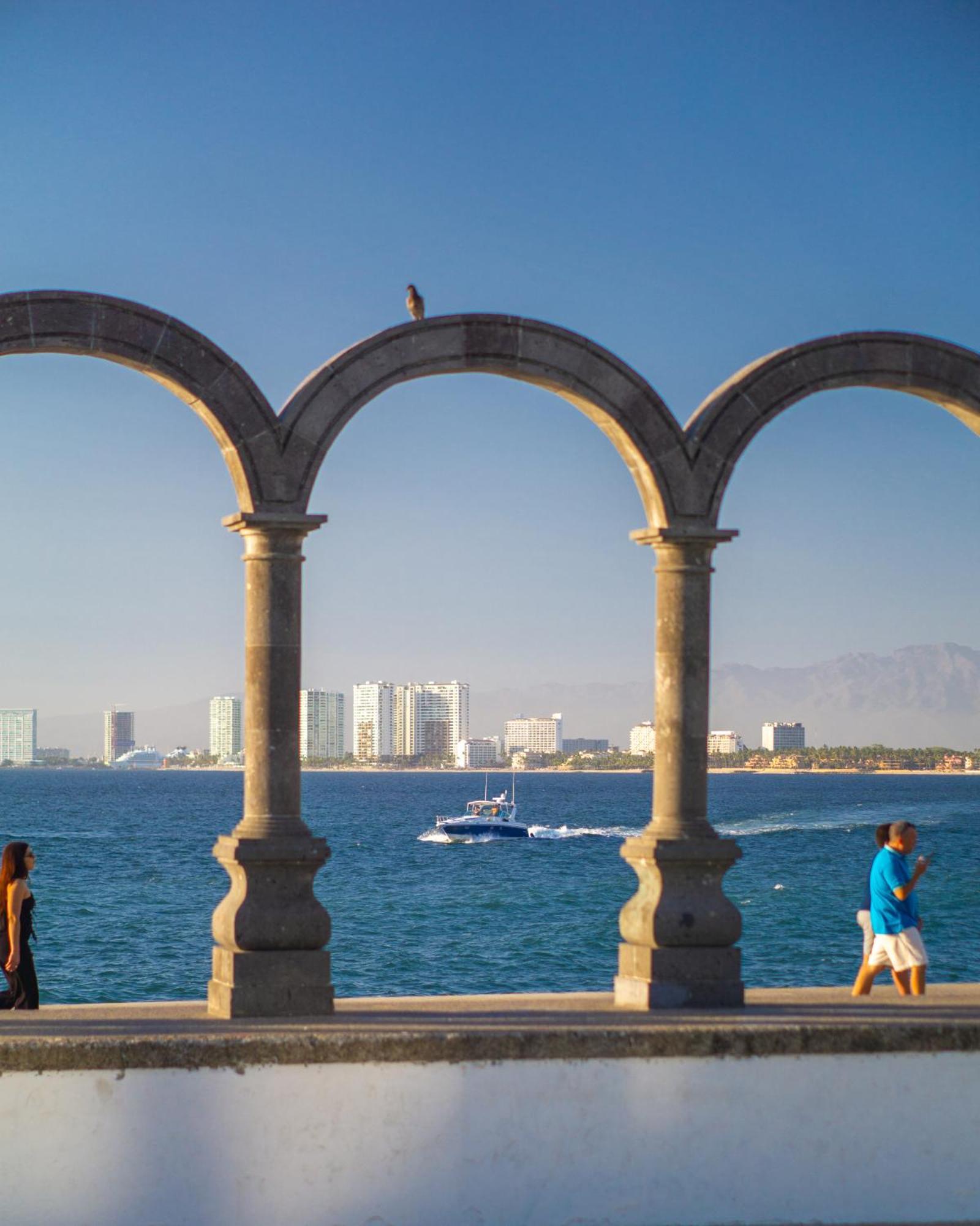 Gaviota Vallarta