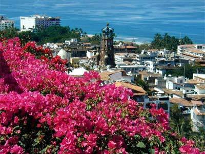 Hotel La Siesta 3*