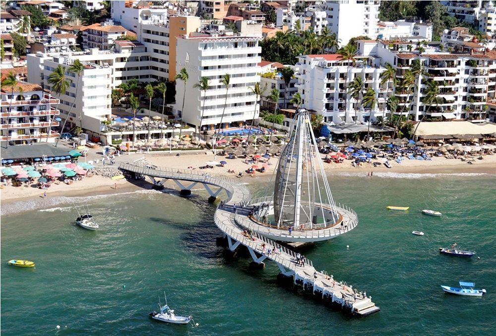 Delfin Puerto Vallarta