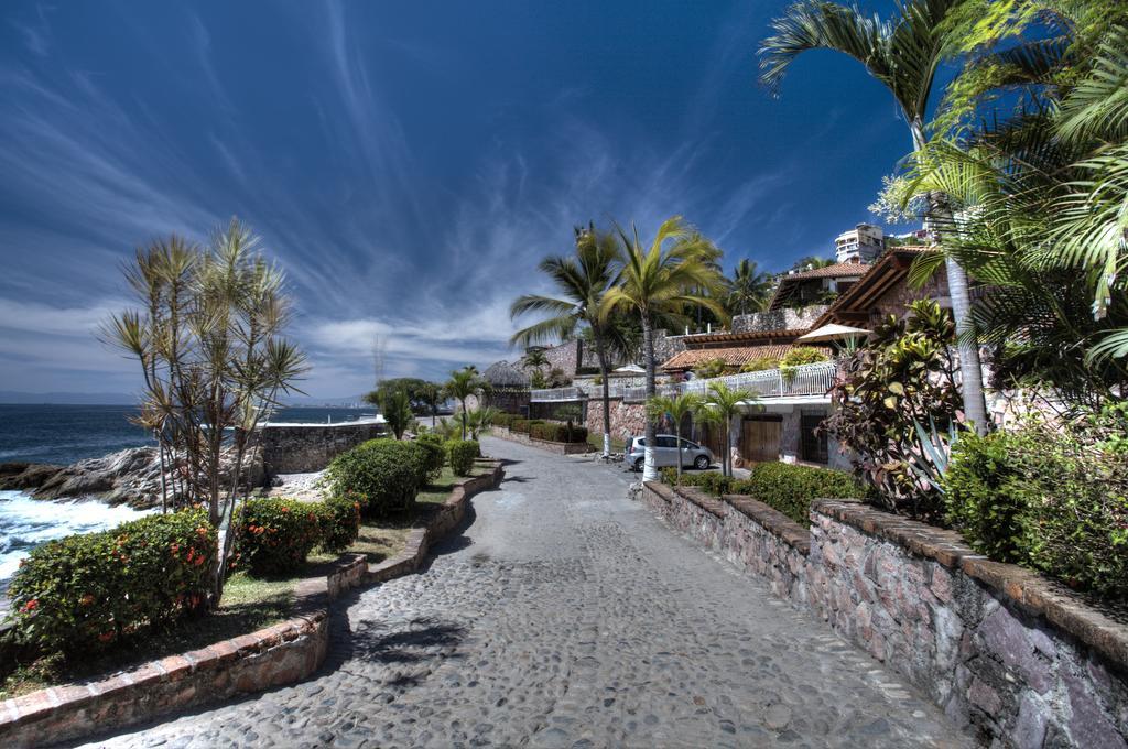 Celeste Puerto Vallarta