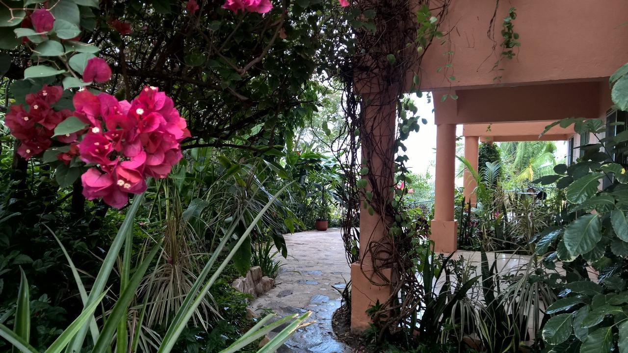Apartment Bello Horizonte Puerto Vallarta