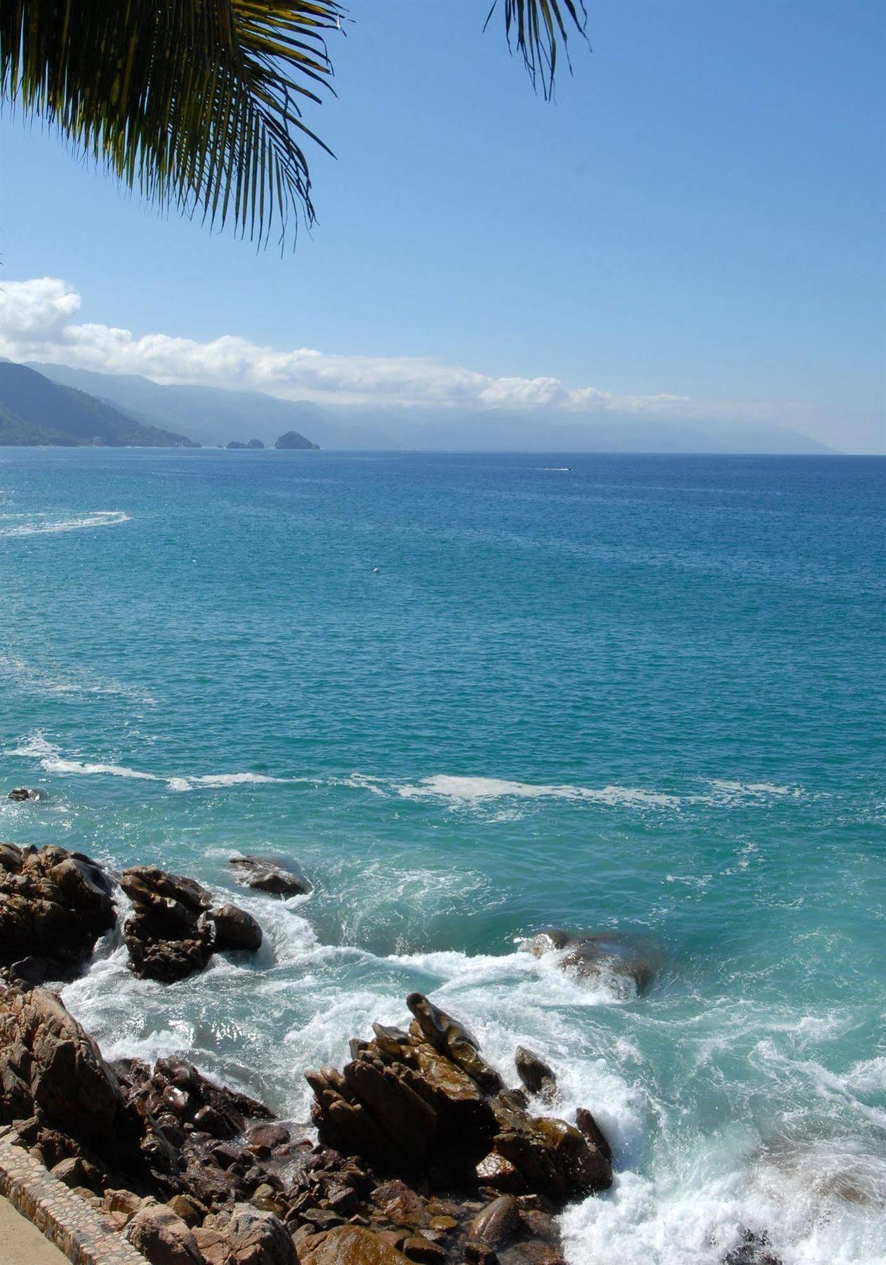 Casa De Las Palapas Hotel Puerto Vallarta