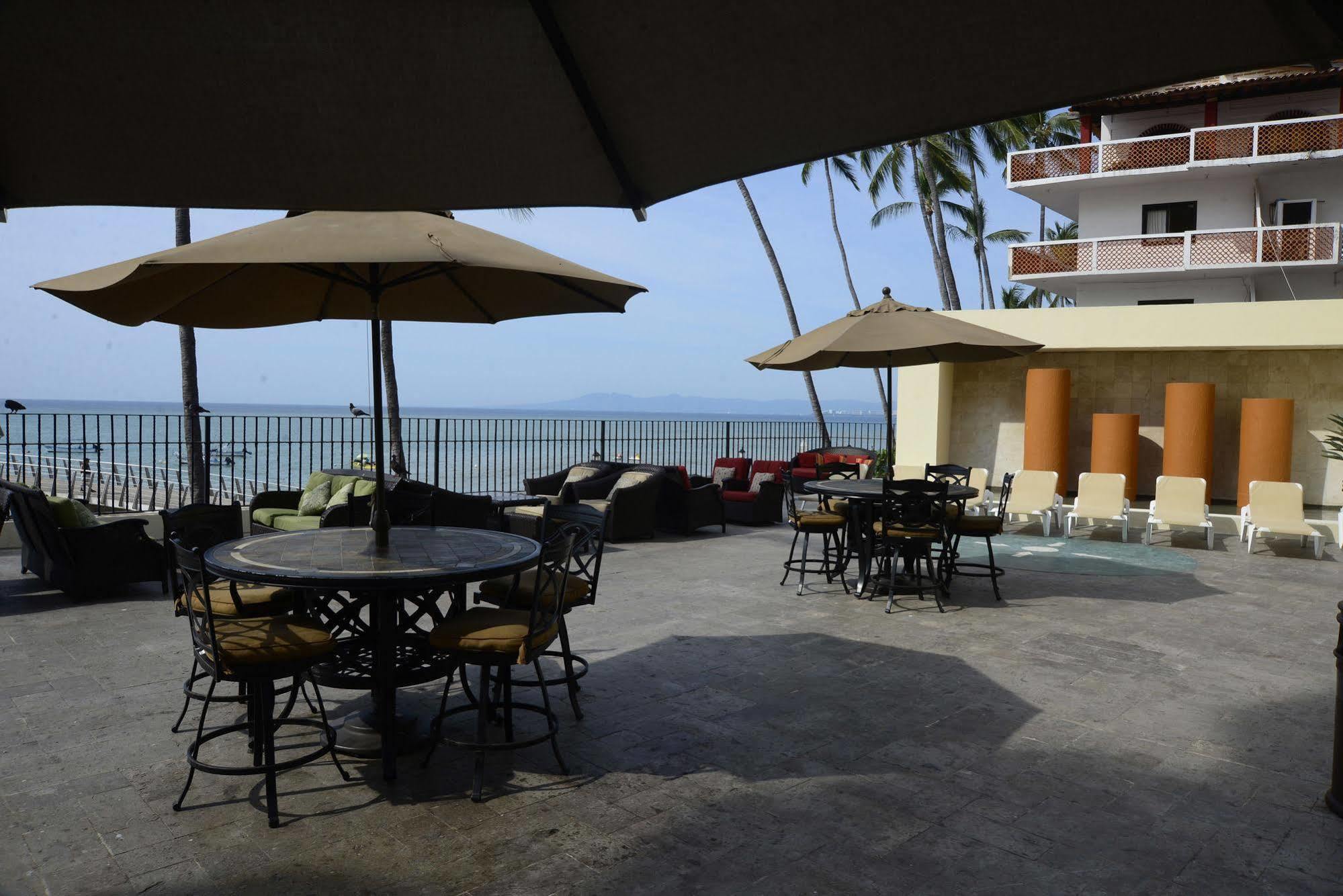 Delfin Puerto Vallarta