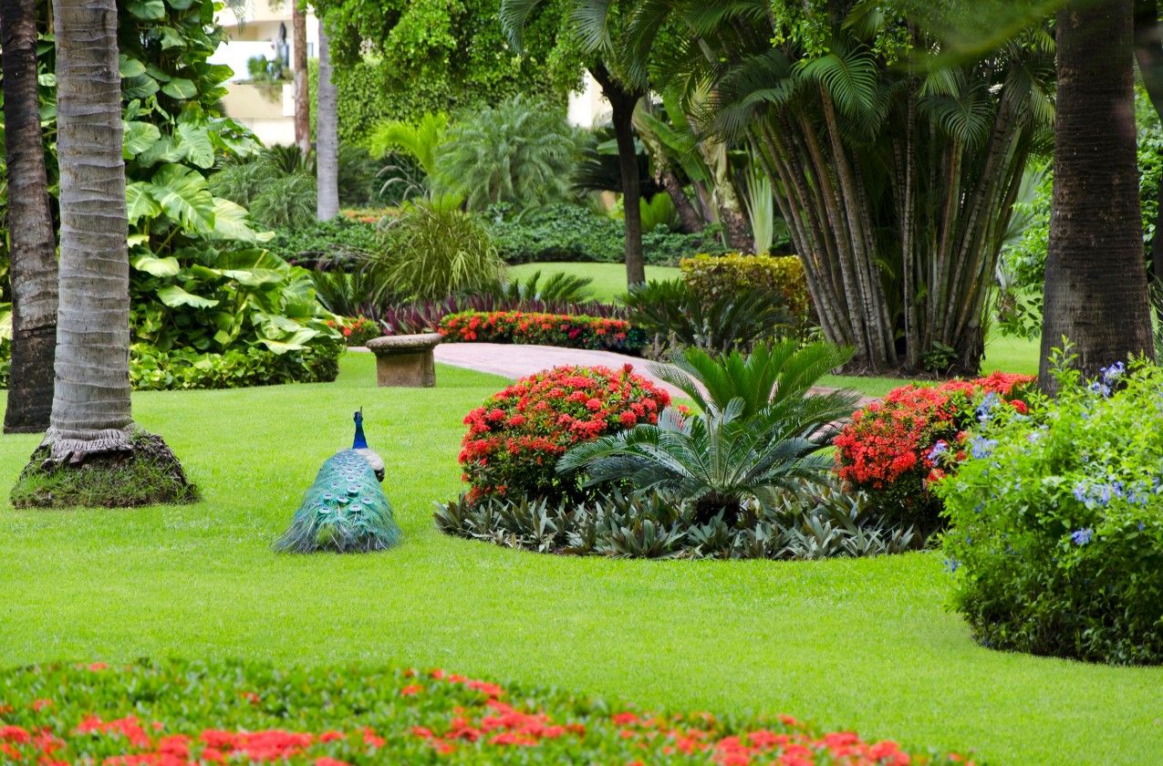 Velas Vallarta