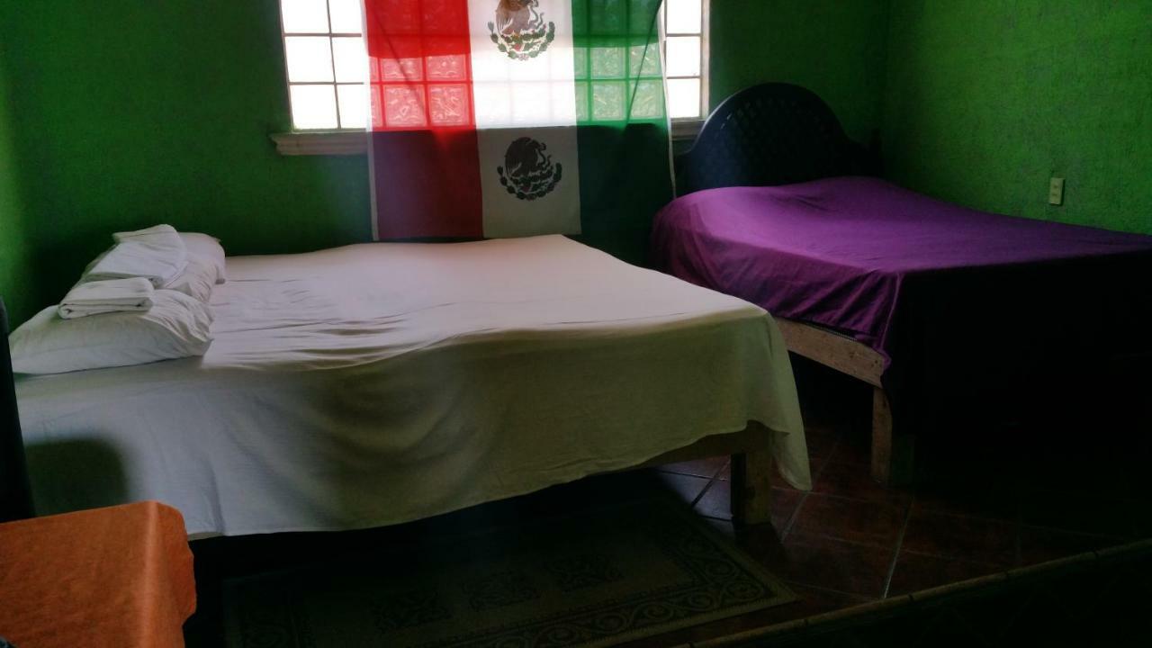 Hostel Enjoy Vallarta 19 *
