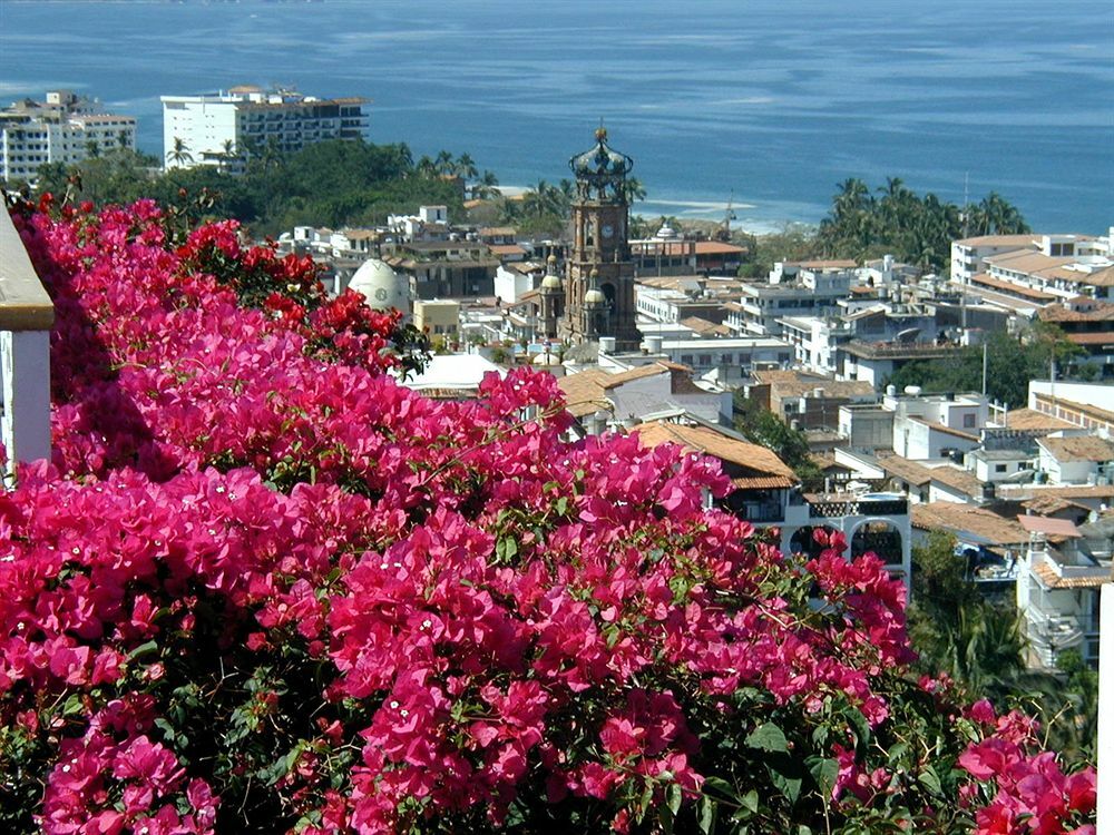 La Siesta Hotel 3*