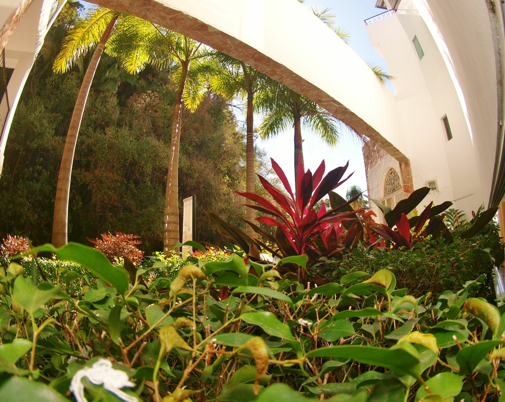 Mondavi Puerto Vallarta