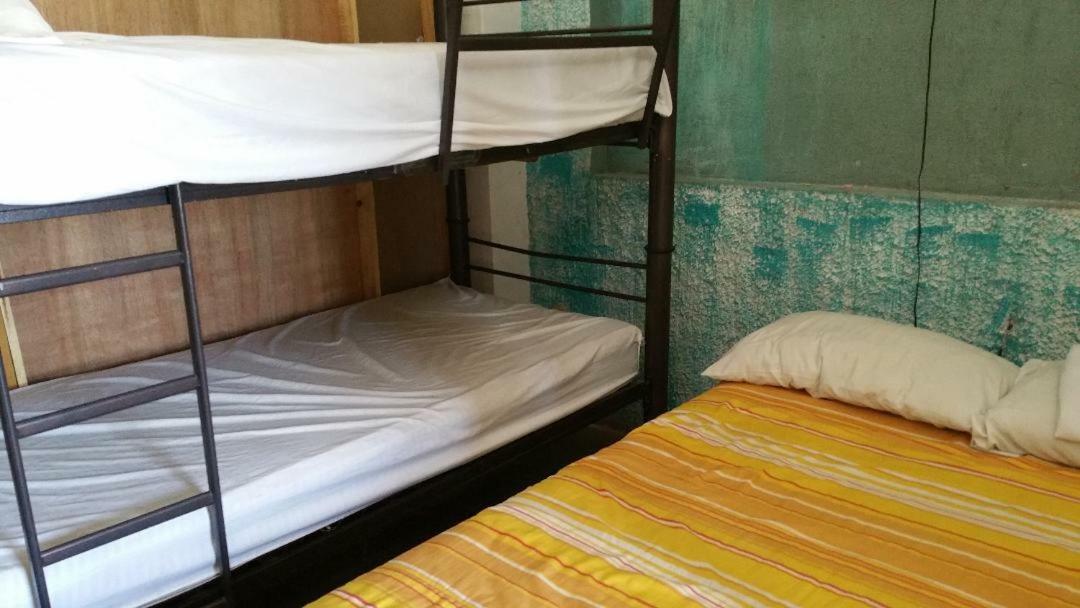 Enjoy Vallarta 19 Hostel *