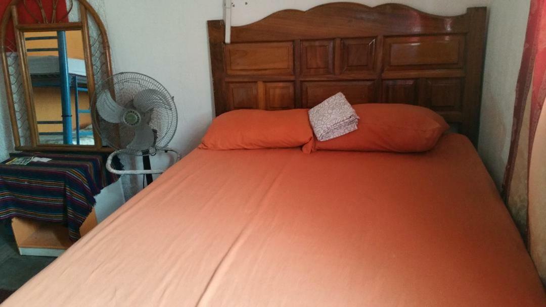 Hostel Enjoy Vallarta 19 *