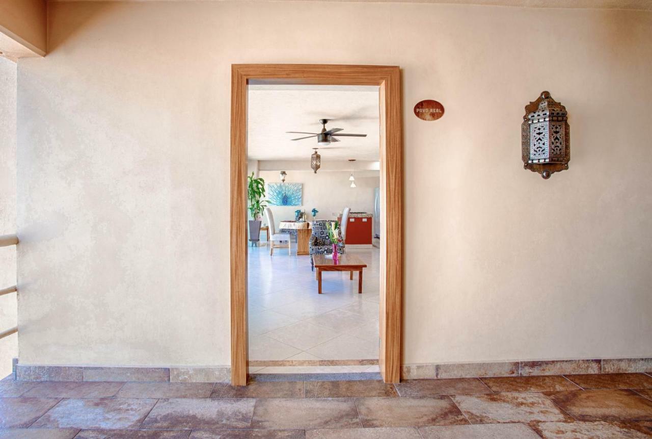 Vista Corona Luxury